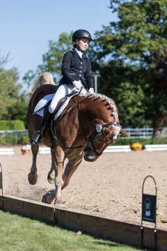 Bild 137 - Fuchshof Turnier